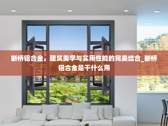 断桥铝合金，建筑美学与实用性能的完美结合_断桥铝合金是干什么用